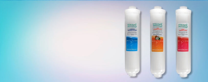 Inline Quick Girişli Filtreler